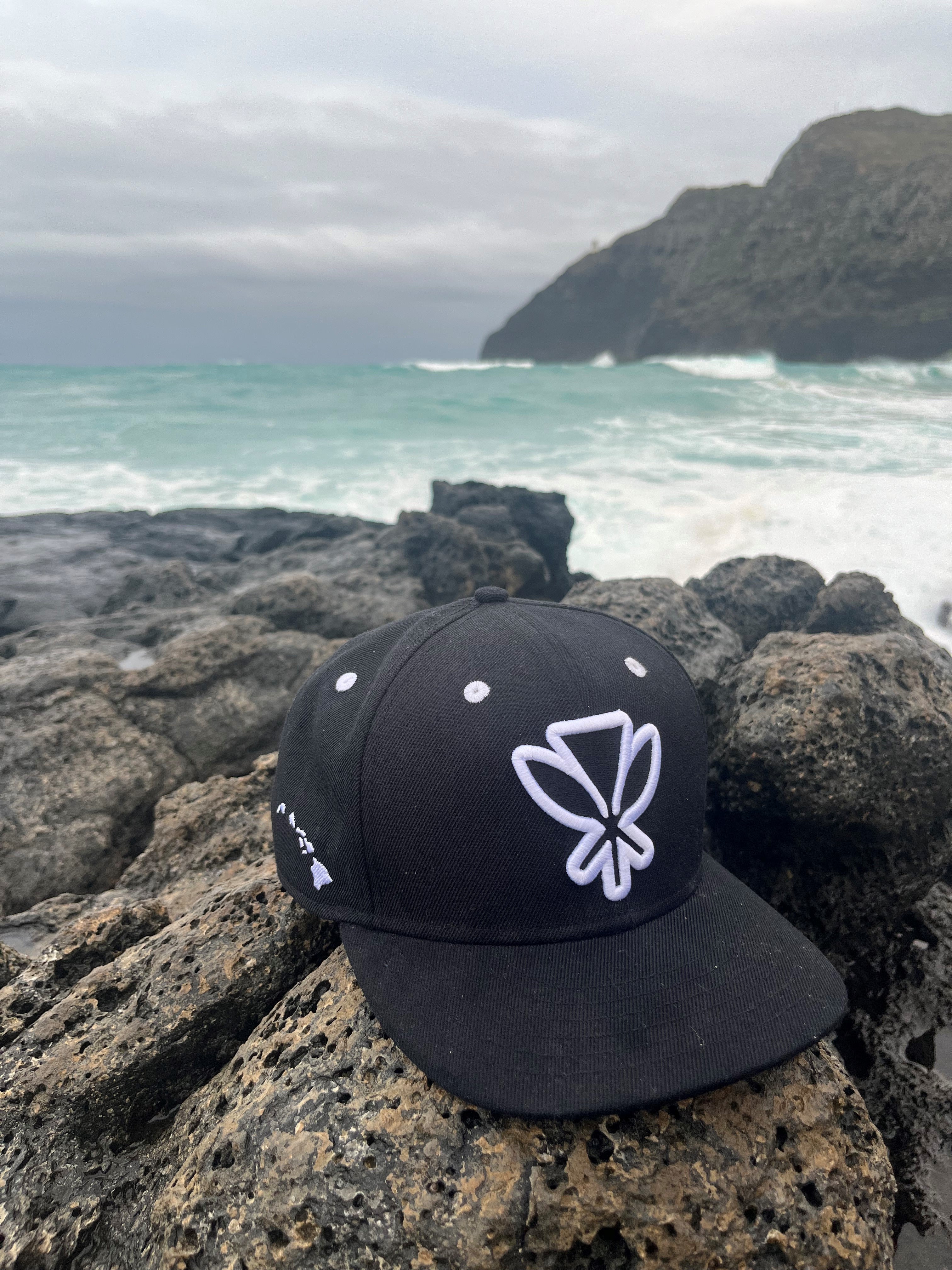 The Logo Fitted Hat - Black/White