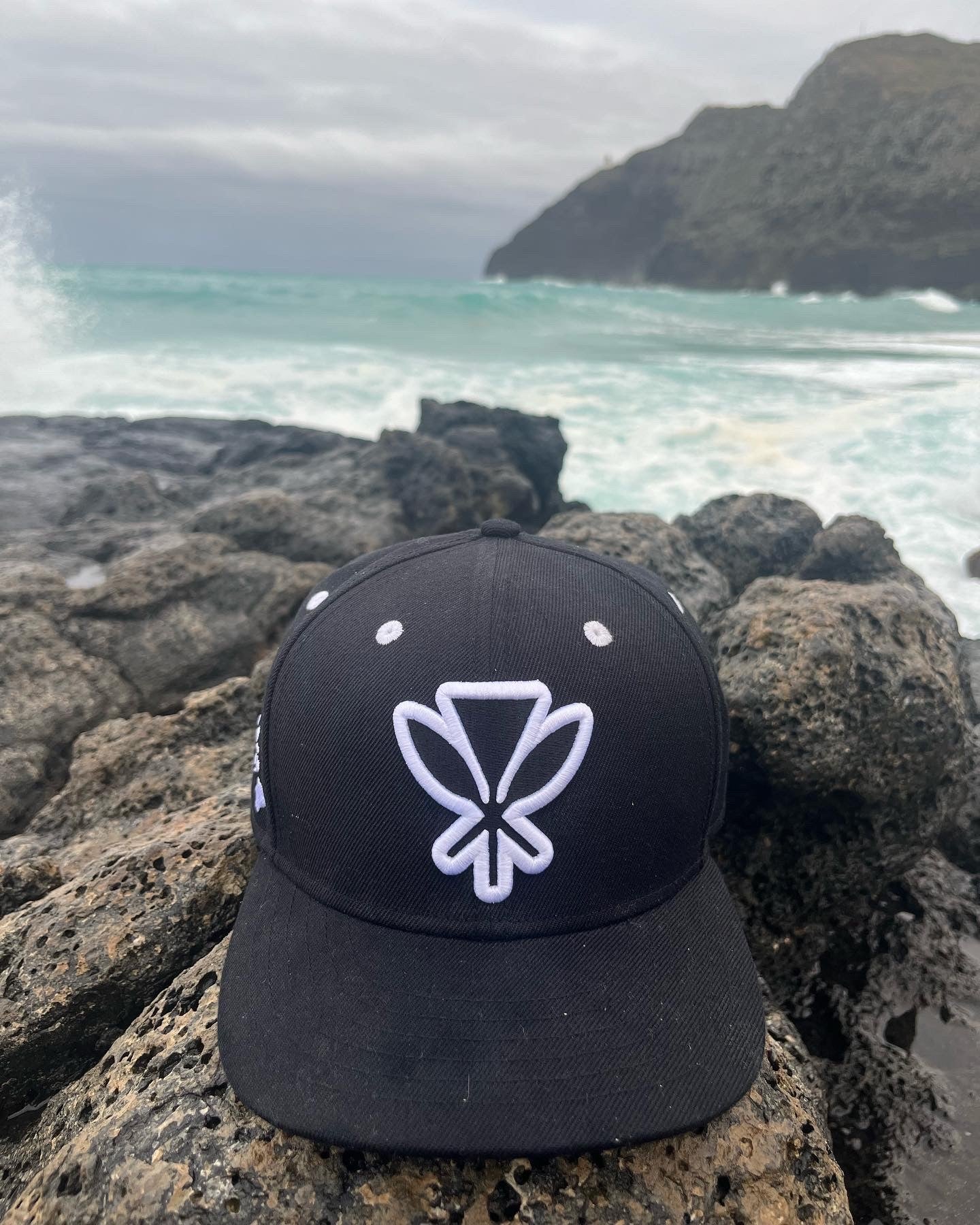 The Logo Fitted Hat - Black/White